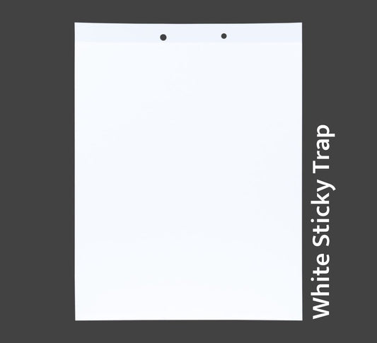 PVC White Sticky Trap 22*28cm | Best Trap for Black Thrips | Sticky Trap for FlowerThrips,Leaf Eating Beetles
