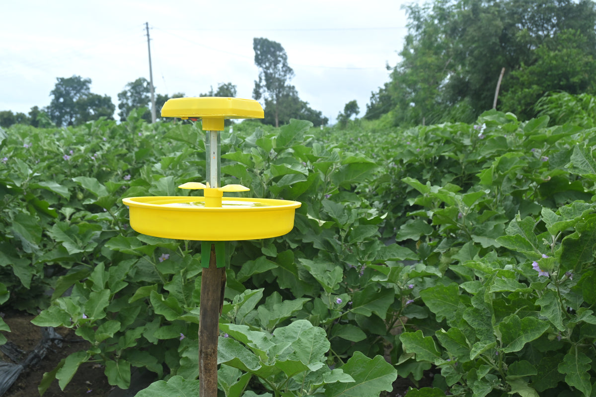 Mini Solar Insect Light Trap (chargeable )For Flying Insect