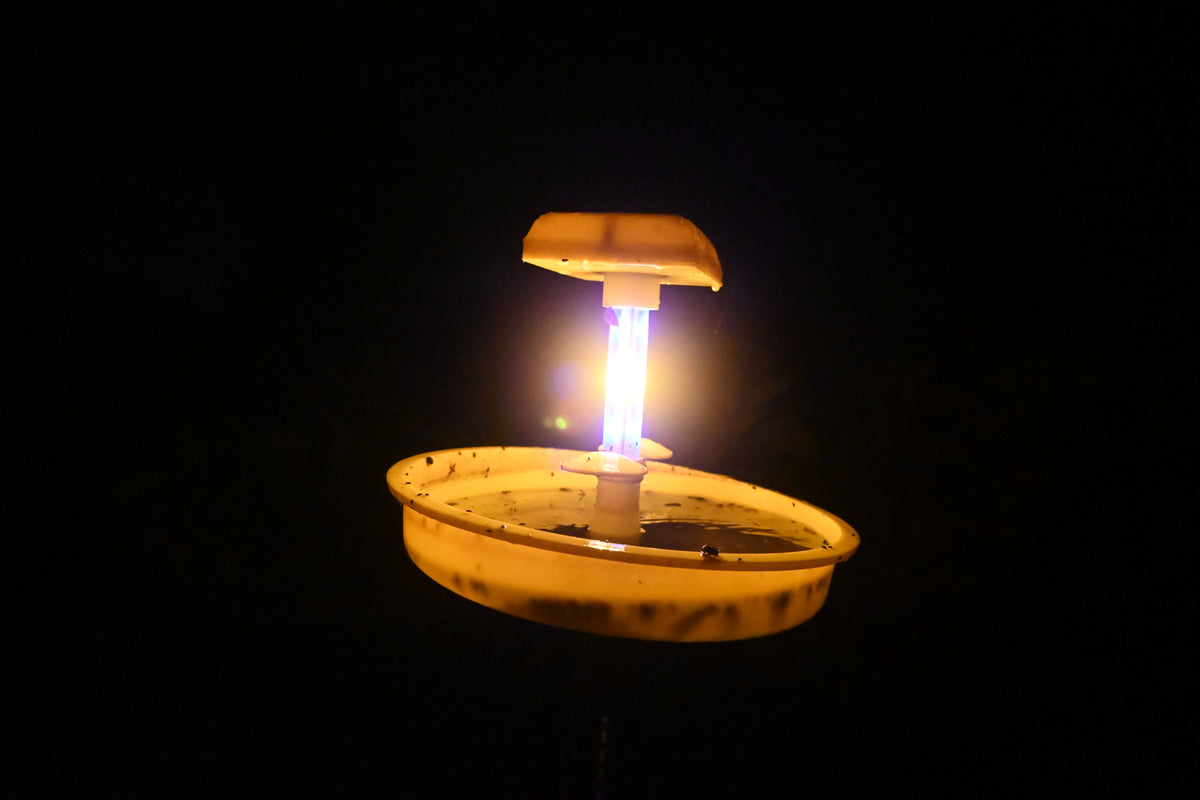 Mini Solar Insect Light Trap (chargeable )For Flying Insect