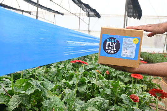Blue Sticky Roll Small | Blue Sticky Roll For Polyhouses,Tea gardens and Nurseries