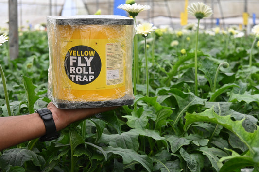 Yellow Sticky Rolls Small | Yellow Sticky Roll for Polyhouse,Nurseries,Tea Gardens