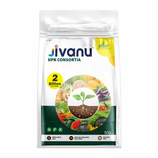 Jivanu NPK  Consortia Bacteria 500 Gram