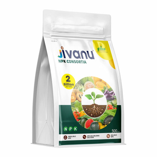 Jivanu KMB Potash Moblizing Bacteria 500 Gram
