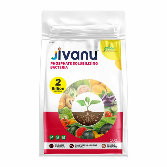 Jivanu PSB Phosphate Solubilizing Bacteria 500 Gram