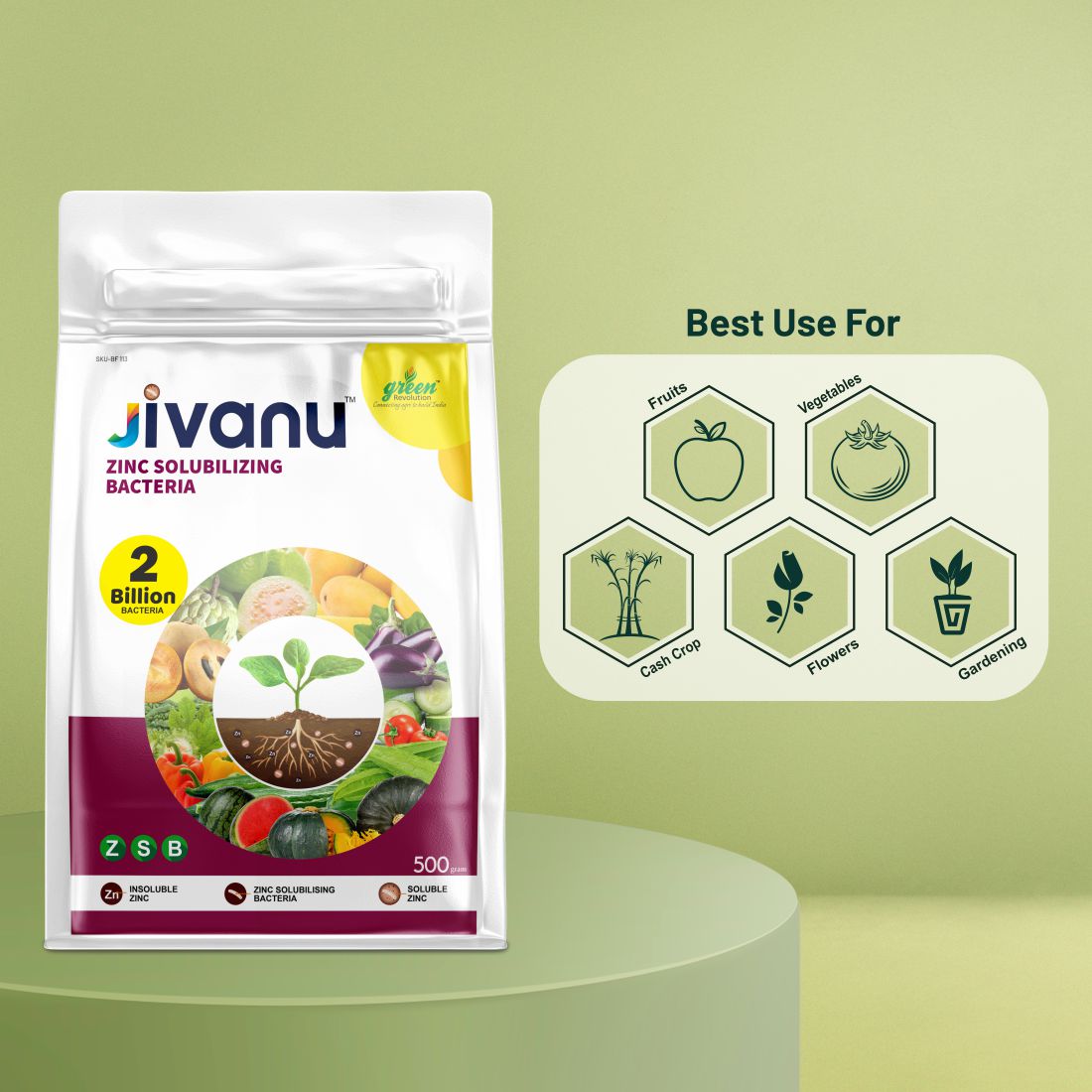 Jivanu Zinc Solubilizing Bacteria ZSB  500 Gram