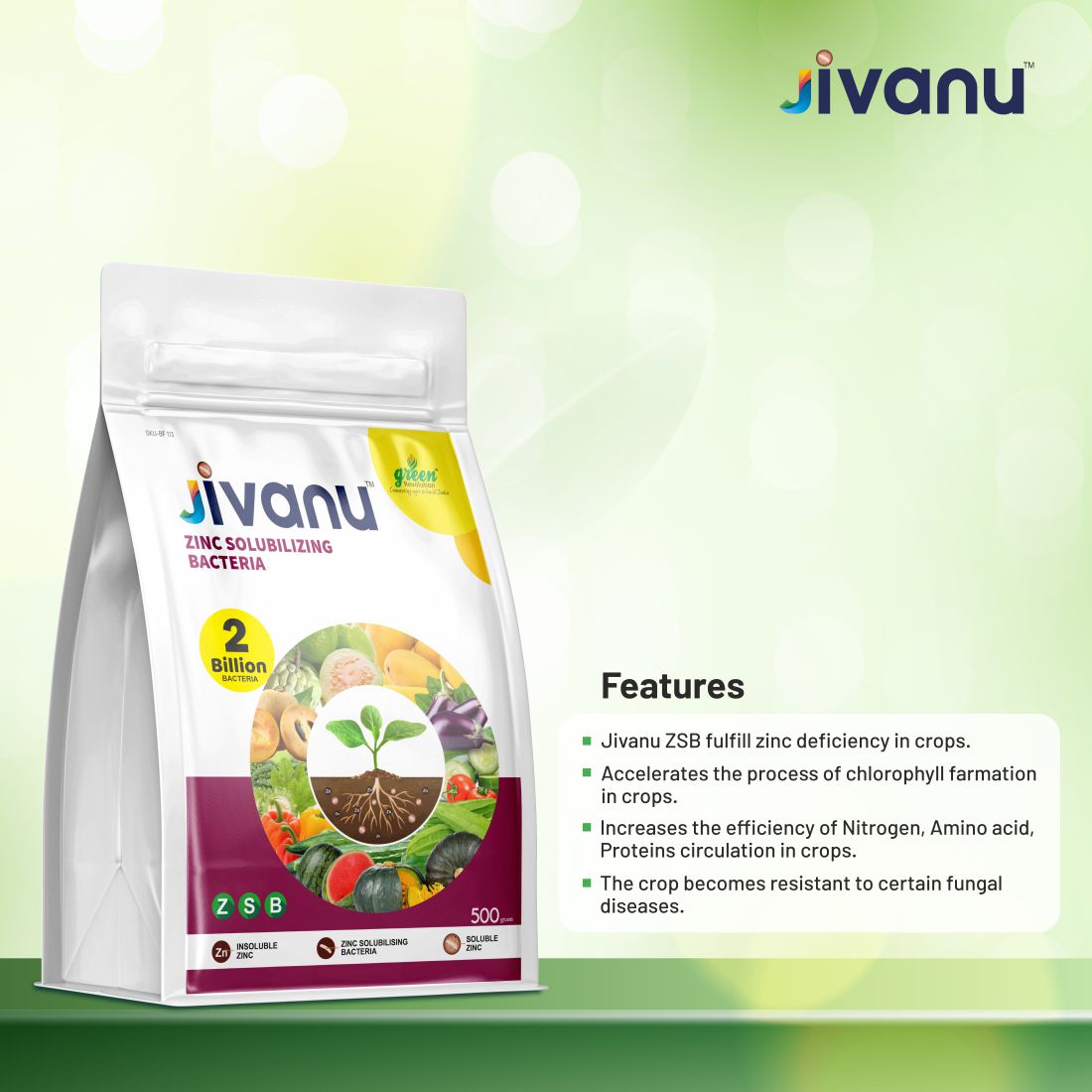 Jivanu Zinc Solubilizing Bacteria ZSB  500 Gram