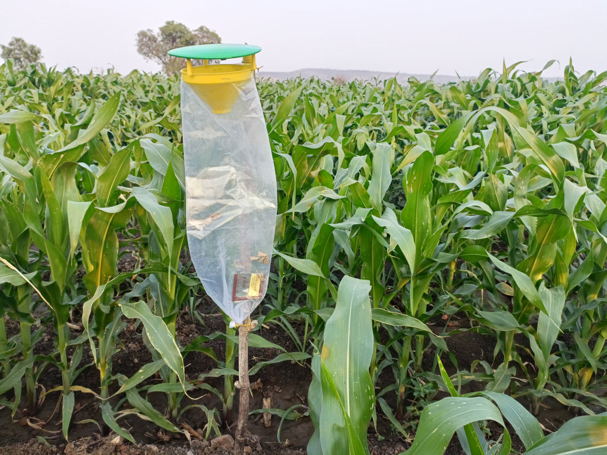 Funnel Trap For Trapping insect fly | Pheromone Trap