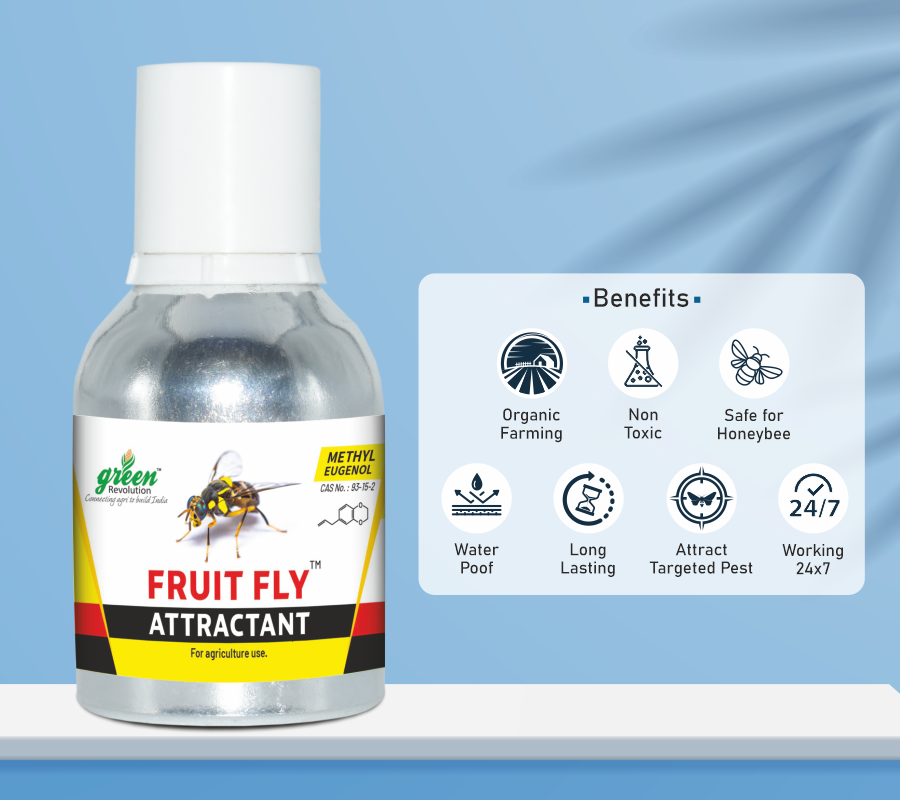 Fruit Fly Attractant | Fruit Fly Attractant for Bactrocera dorsalis, Bactrocera zonata Bactrocera correcta | Long-Lasting Attractant for Mango, Guava  Fruit Crops