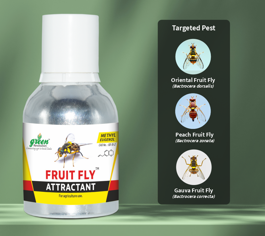 Fruit Fly Attractant | Fruit Fly Attractant for Bactrocera dorsalis, Bactrocera zonata Bactrocera correcta | Long-Lasting Attractant for Mango, Guava  Fruit Crops