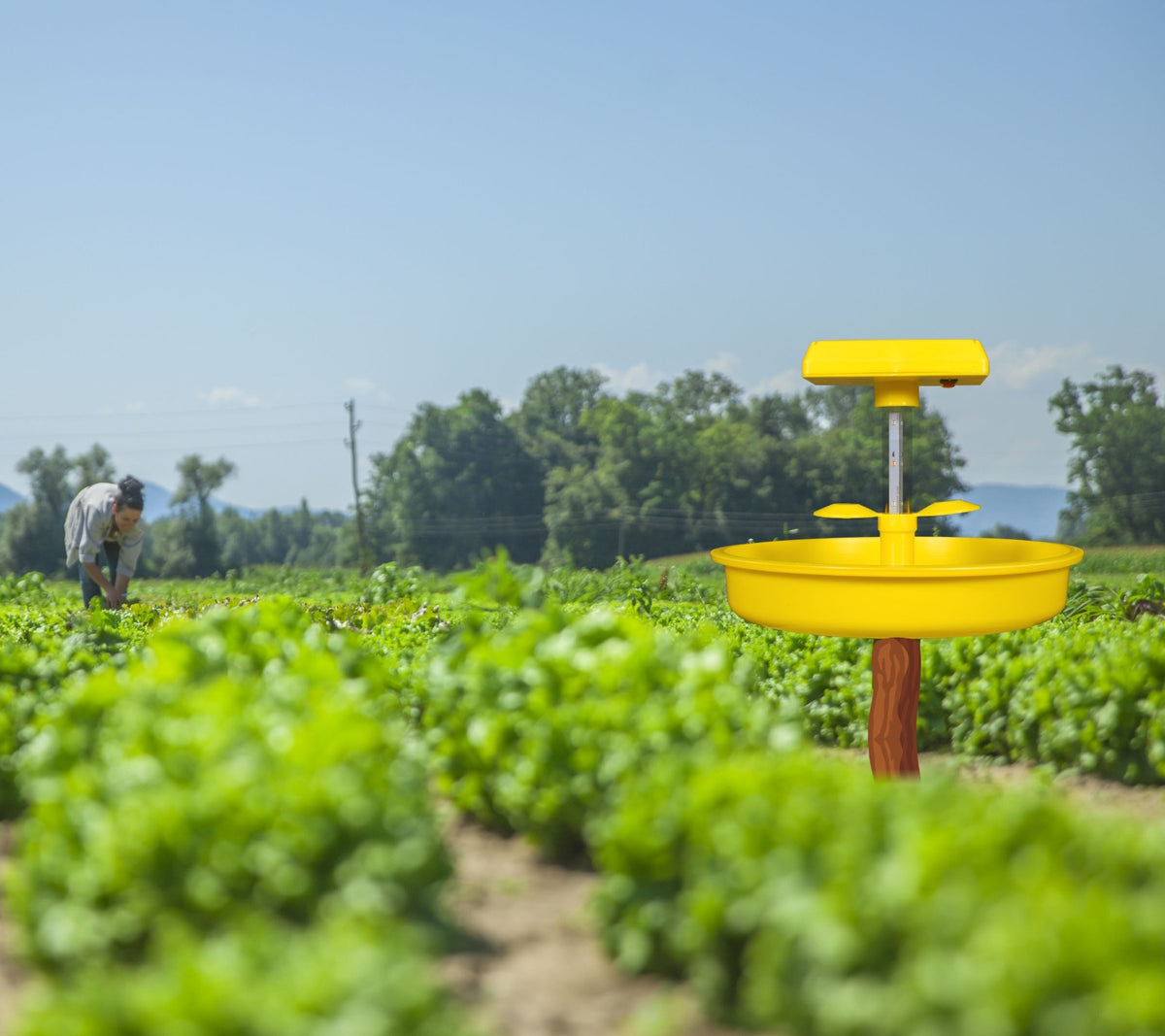 Mini Solar Insect Light Trap (chargeable )For Flying Insect