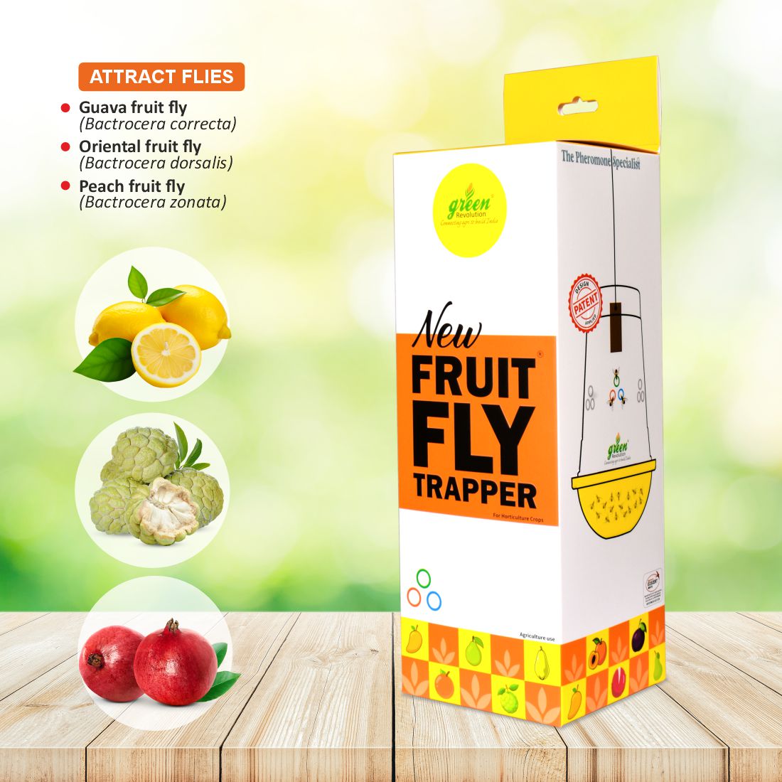 New Fruit Fly Trapper, 10 Fruit Fly Lure with 10 TRI TRAP complete set for a one-acre