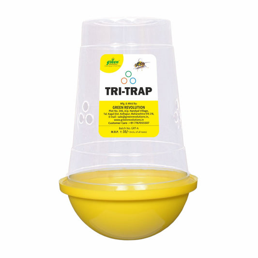 TRI Trap (Fruit fly Trap) For All Fruits & Vegetables crop (Only Trap)